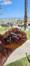 San Jose del Cabo Report Photo 2