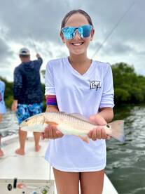 Sarasota Report Photo 2