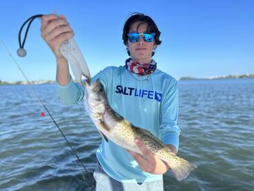Sarasota Report Photo 1