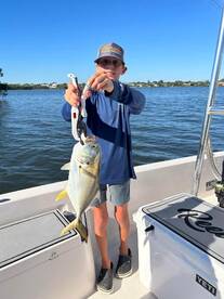 Sarasota Report Photo 2