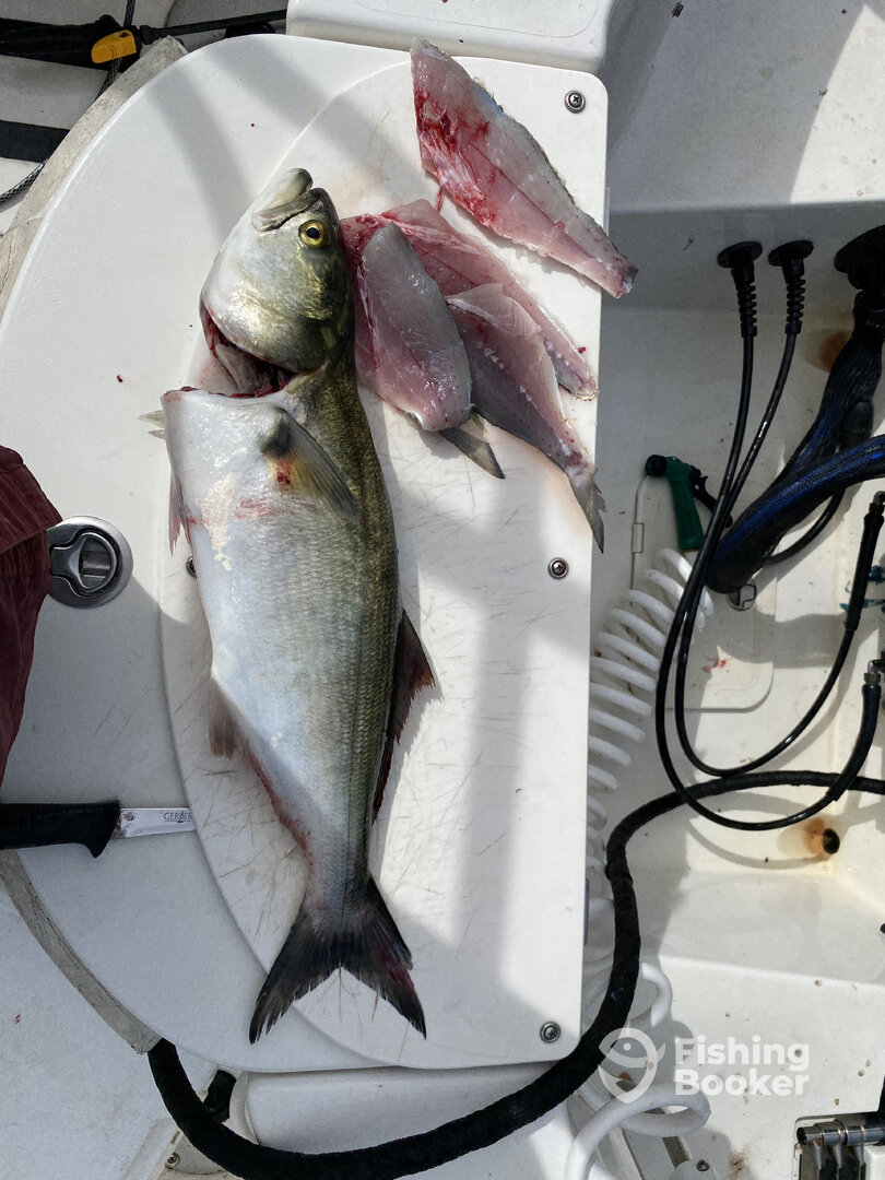 North Myrtle Beach Report Photo 0