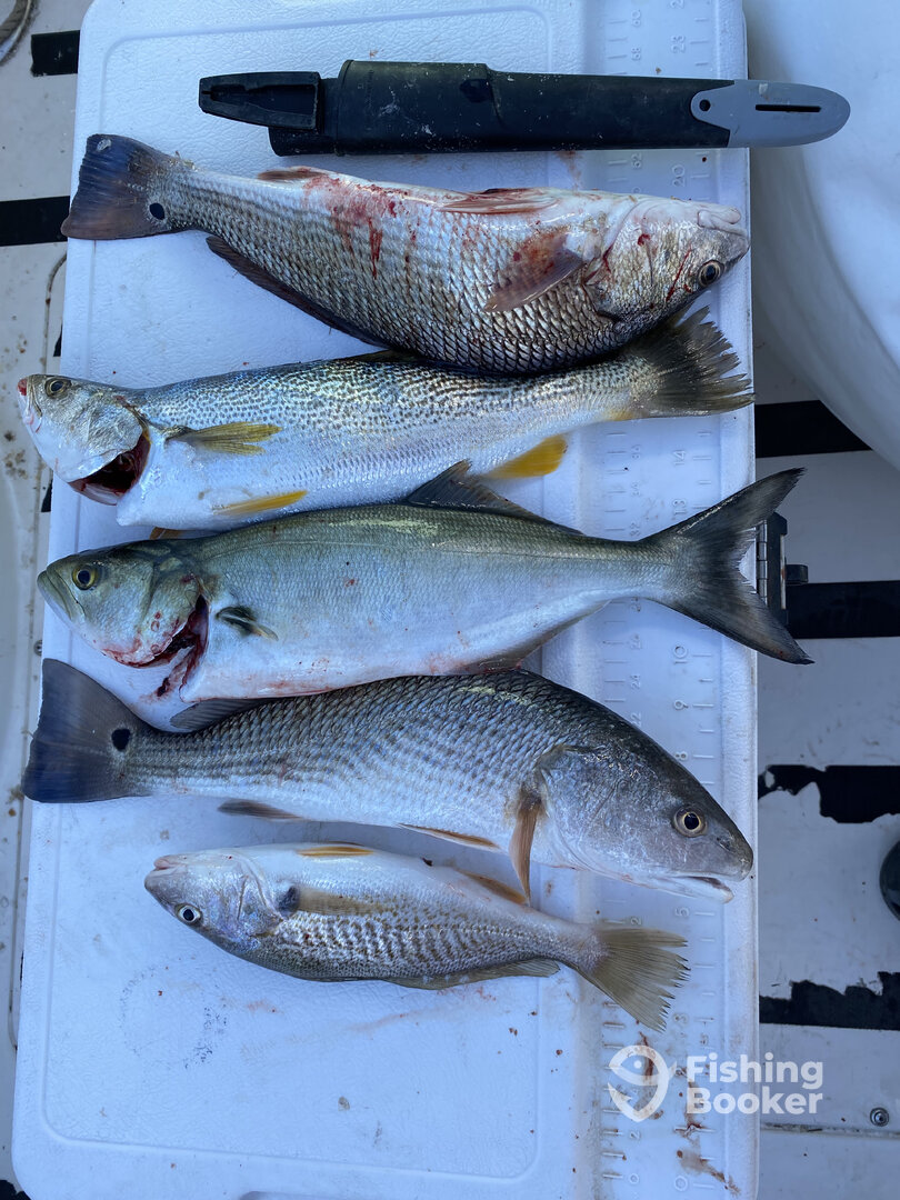 North Myrtle Beach Report Photo 0