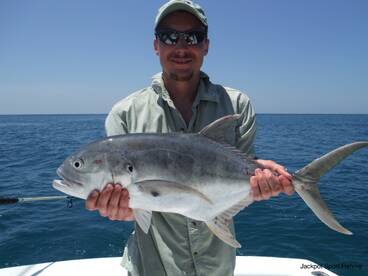 Quepos Report Photo 2