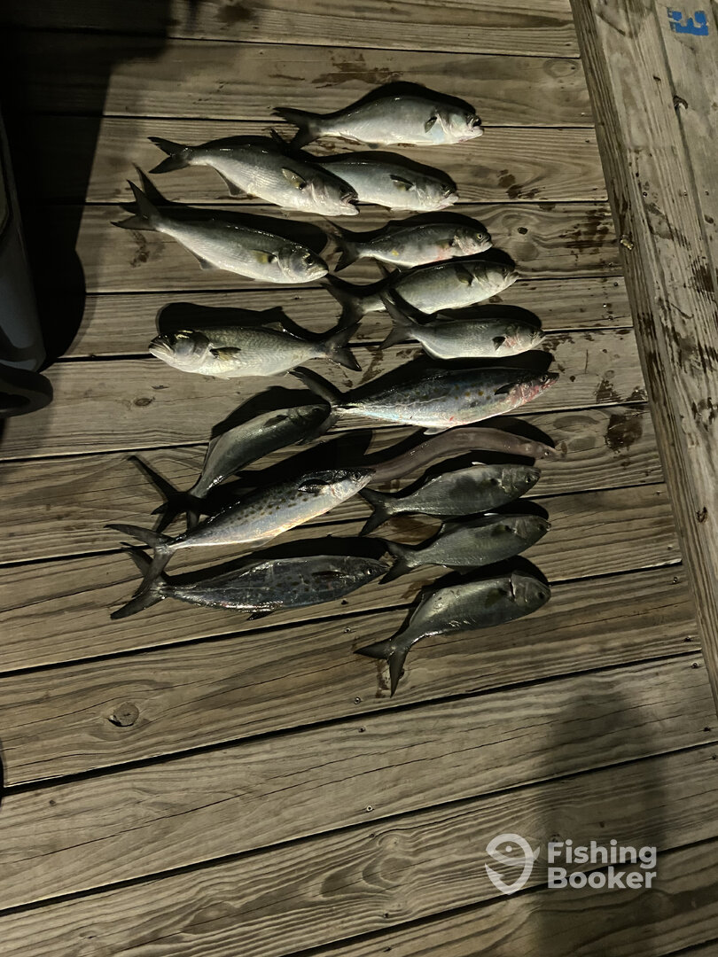 North Myrtle Beach Report Photo 0