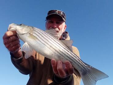 Chincoteague Report Photo 2