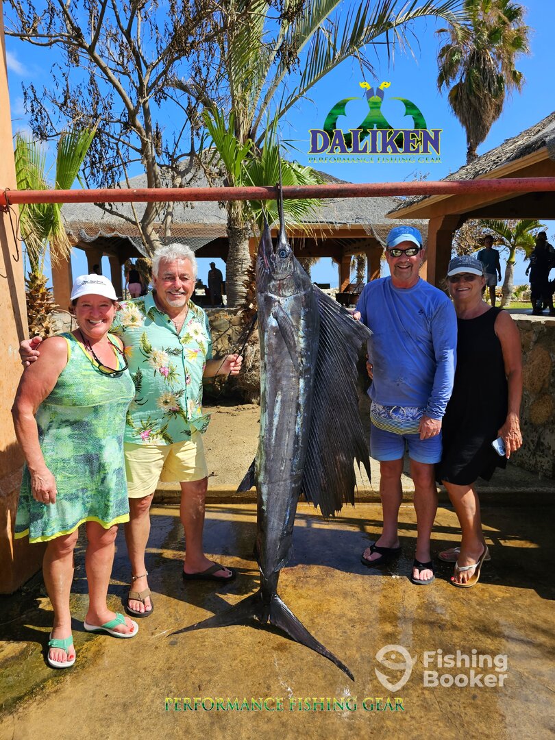 San Jose del Cabo Report Photo 0