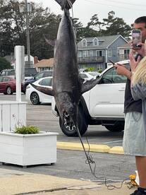 Great month for Deep Drop Swordfishing