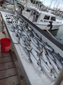 Nearshore trolling trips