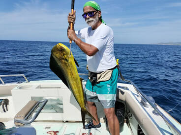 Cabo San Lucas Report Photo 1