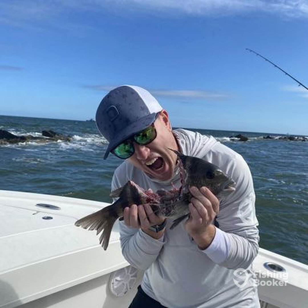 While sharks are around not many getting chewed up