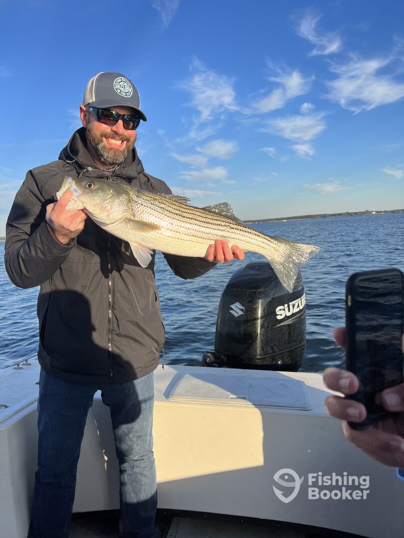 Bellevue Report Photo 0