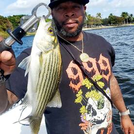 Delray Beach Report Photo 2