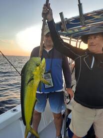 San Jose del Cabo Report Photo 2