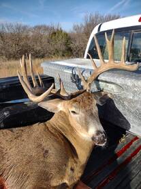 Been a little busy !!! 