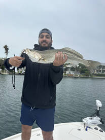 Nokomis Report Photo 1