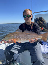 Pensacola Report Photo 1