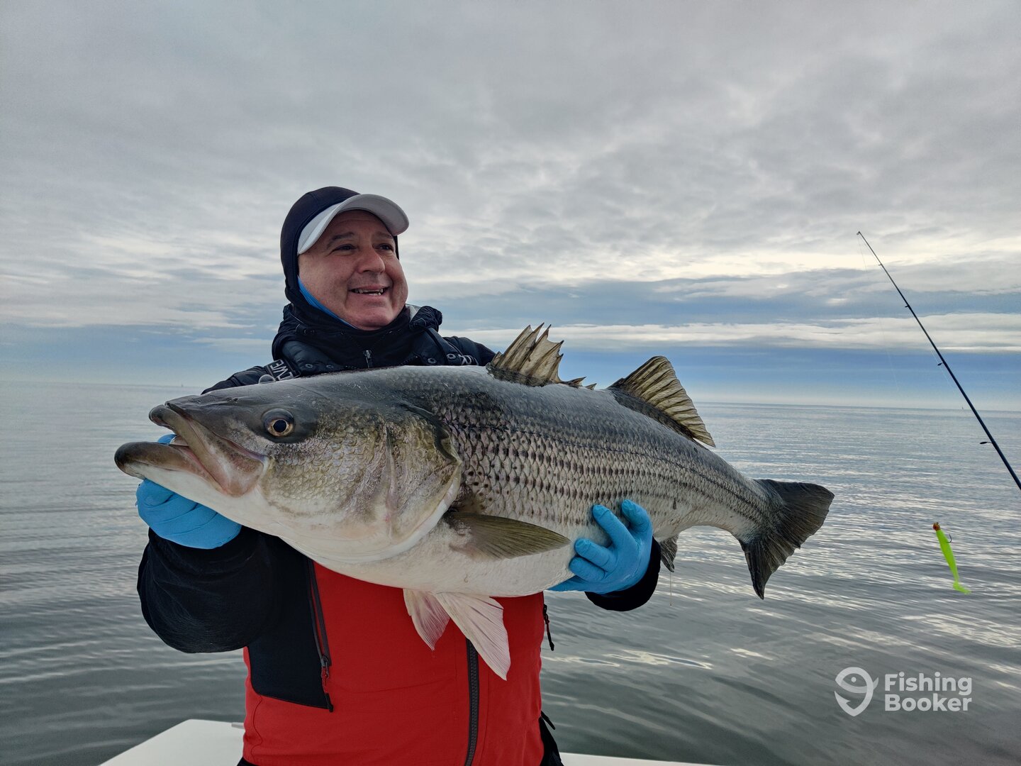 Fall Stiped Bass Monsters