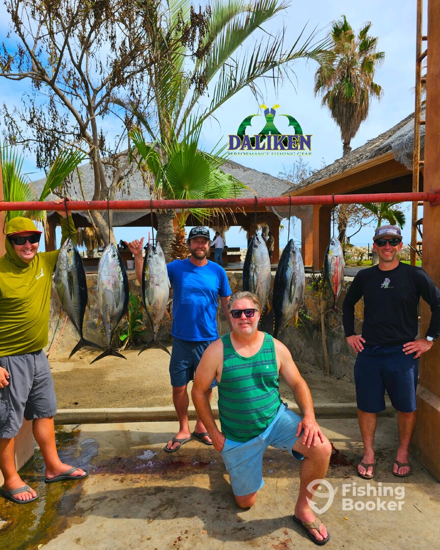 San Jose del Cabo Report Photo 0