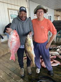 November-December combos ?