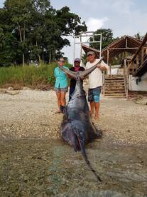 Monster Marlin - Epic 5 hour battle.