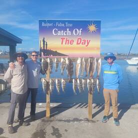 Nice box of fish for these three.
