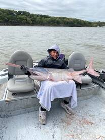 Hybrids biting on Sooner and Oolagah, Sp