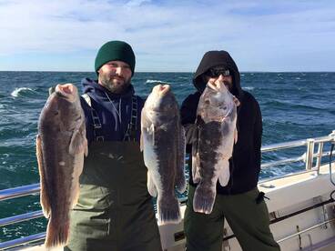 Montauk Report Photo 1