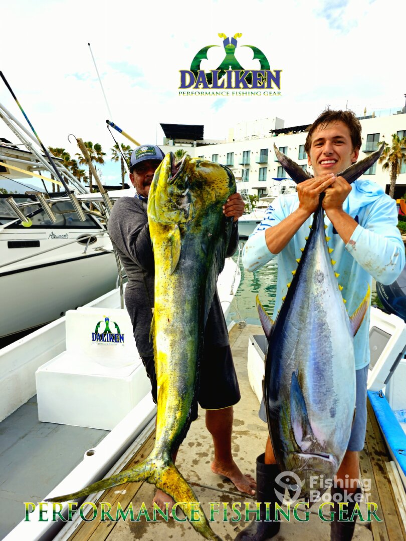 San Jose del Cabo Report Photo 0
