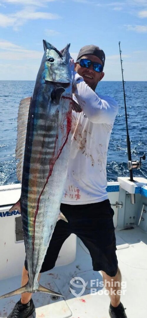 Port Canaveral Report Photo 0