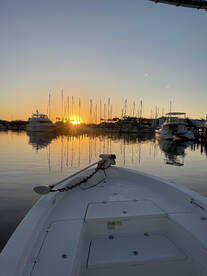 Punta Gorda Report Photo 2