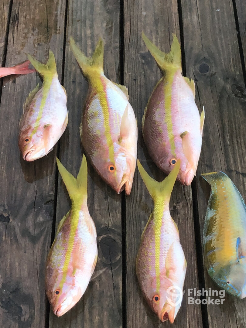 Carolina Beach Report Photo 0