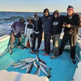 Solomons Report Photo 1