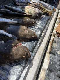 Pass Christian Report Photo 3