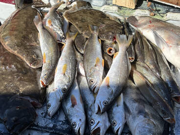 Pass Christian Report Photo 2