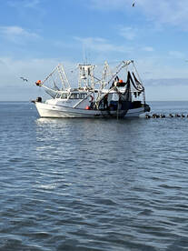 Venice Report Photo 1