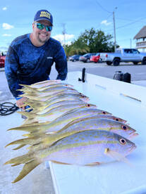 Looking for action and dinner 