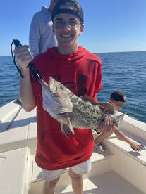 Placida Report Photo 1