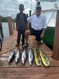 Dania Beach Report Photo 1