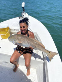 Discounted Trips Book Now!