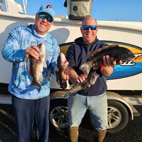 Stone Harbor Report Photo 2