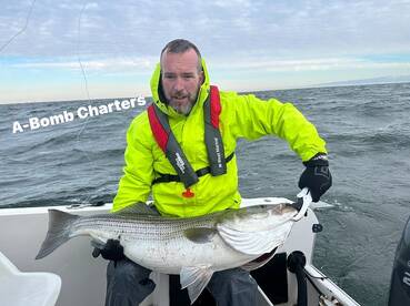 BIG BASS - Migration has arrived!