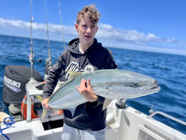 November never disappoints 