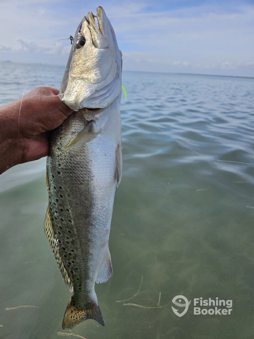 Aransas Pass Report Photo 0