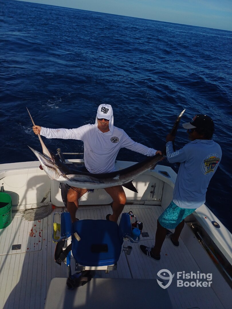 Cabo San Lucas Report Photo 0