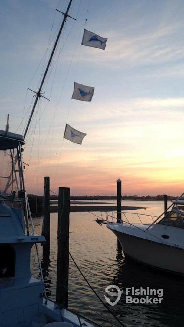 Ponce Inlet Report Photo 0
