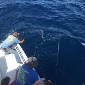 Ponce Inlet Report Photo 2