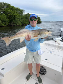 November 2023 Tampa Bay