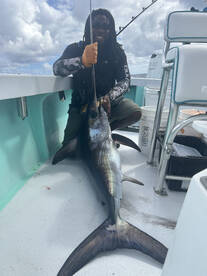 Hand crank Sword fish with Ty
