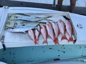 Sailfish, mahi and snappers!!