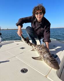 Leopard Sharks and Spotted Bay Bass Biti